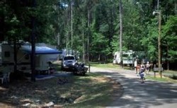 lake D'Arbonne state park camping